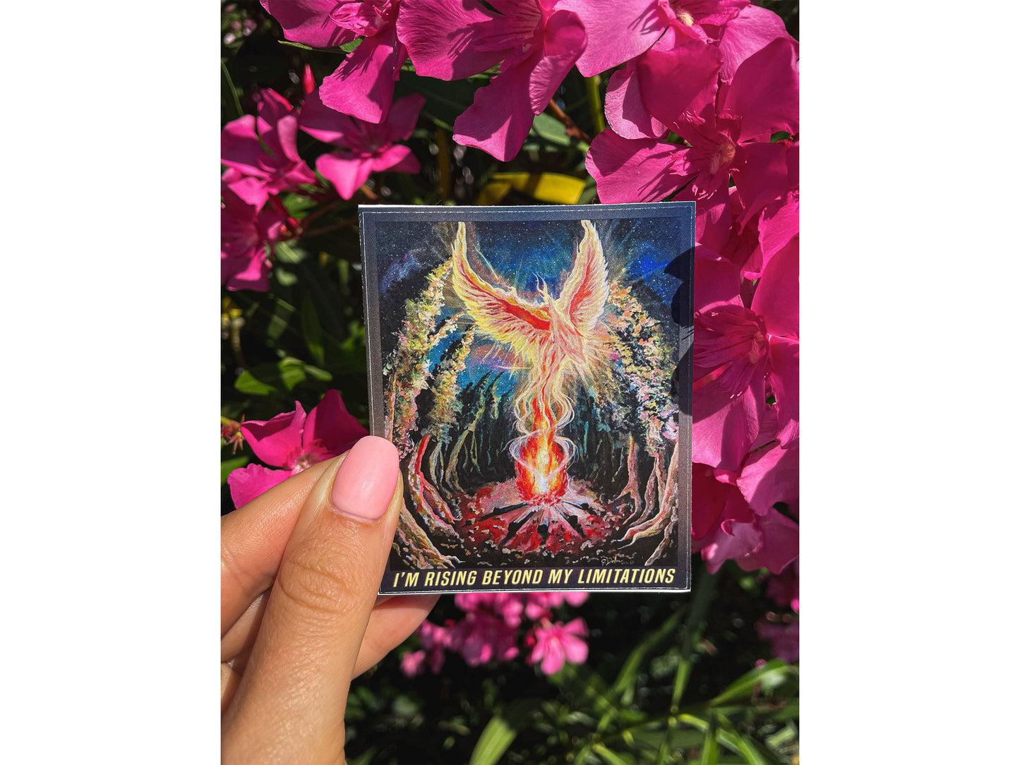 Phoenix Rises | Vinyl Bird Sticker | Animal Sticker | Motivational Sticker