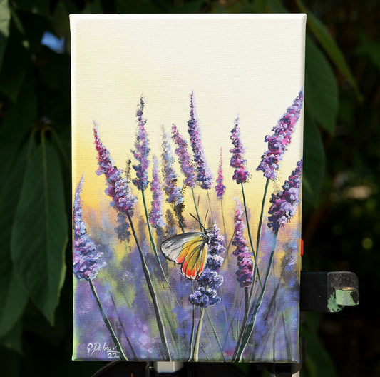 Lavender Breeze | Stretched Canvas Print