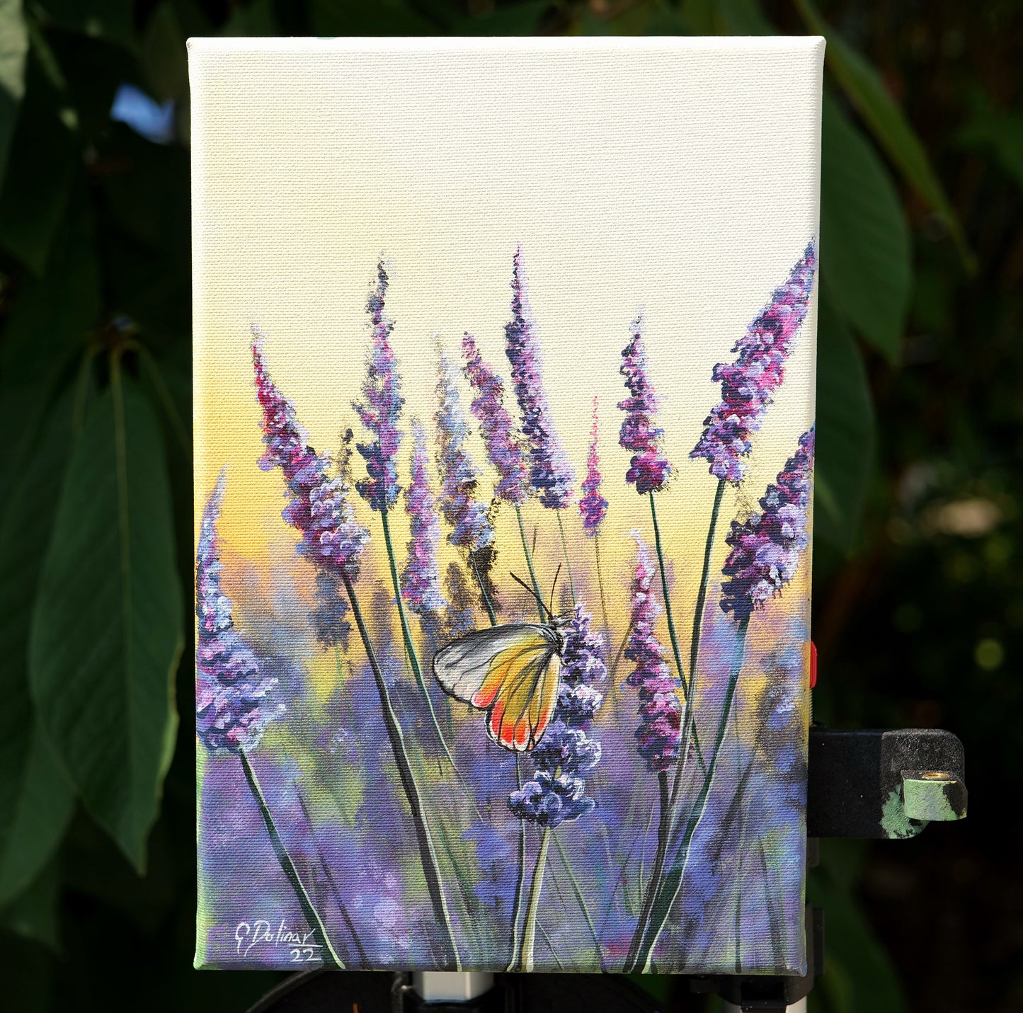 Lavender Breeze | Butterfly in the Sunset | Lavender Painting | Canvas Print