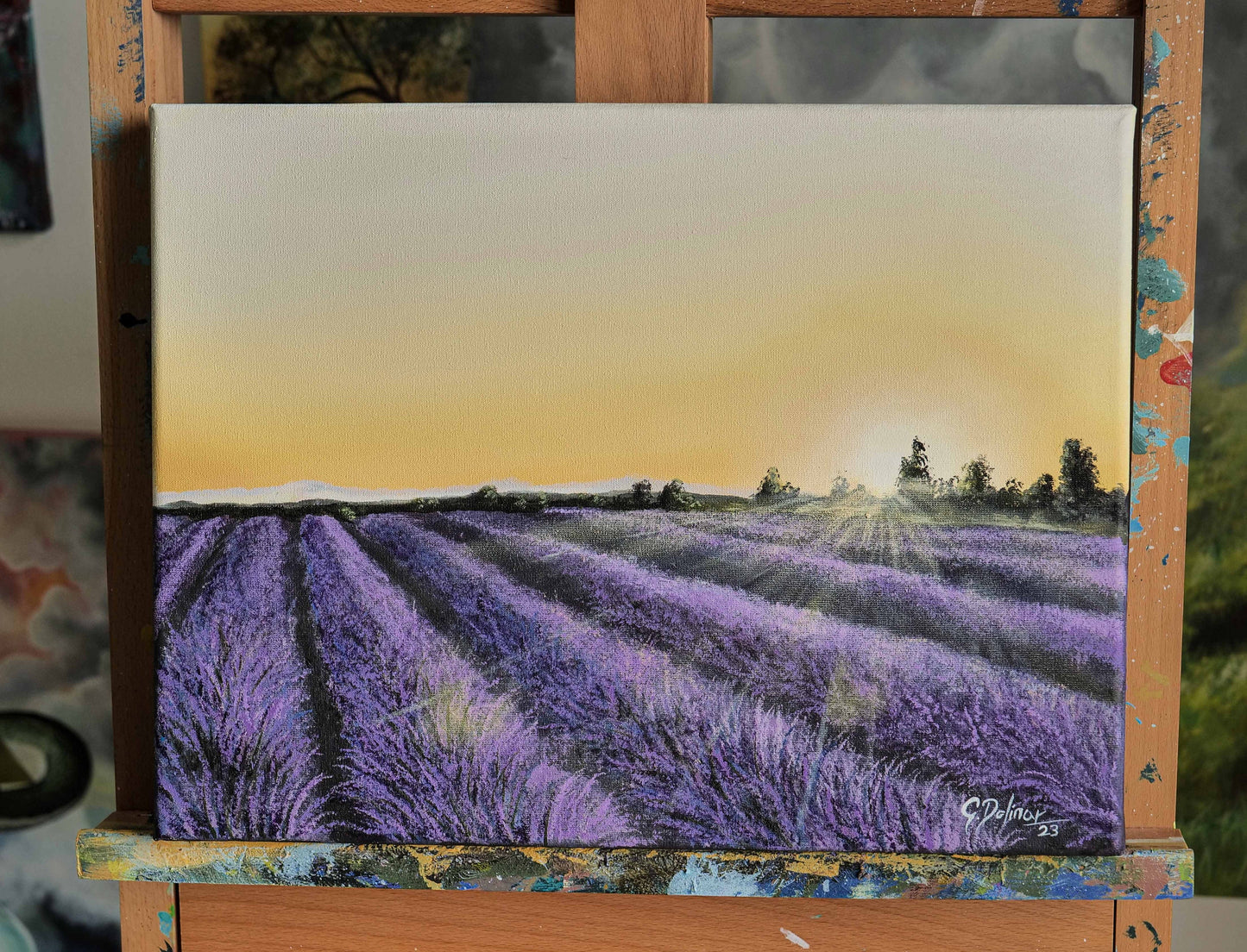 Lavender Field | Serenity | Canvas Print