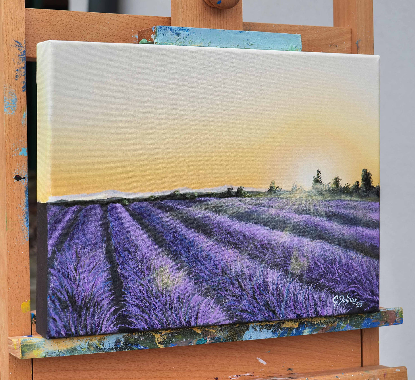 Lavender Field | Serenity | Canvas Print