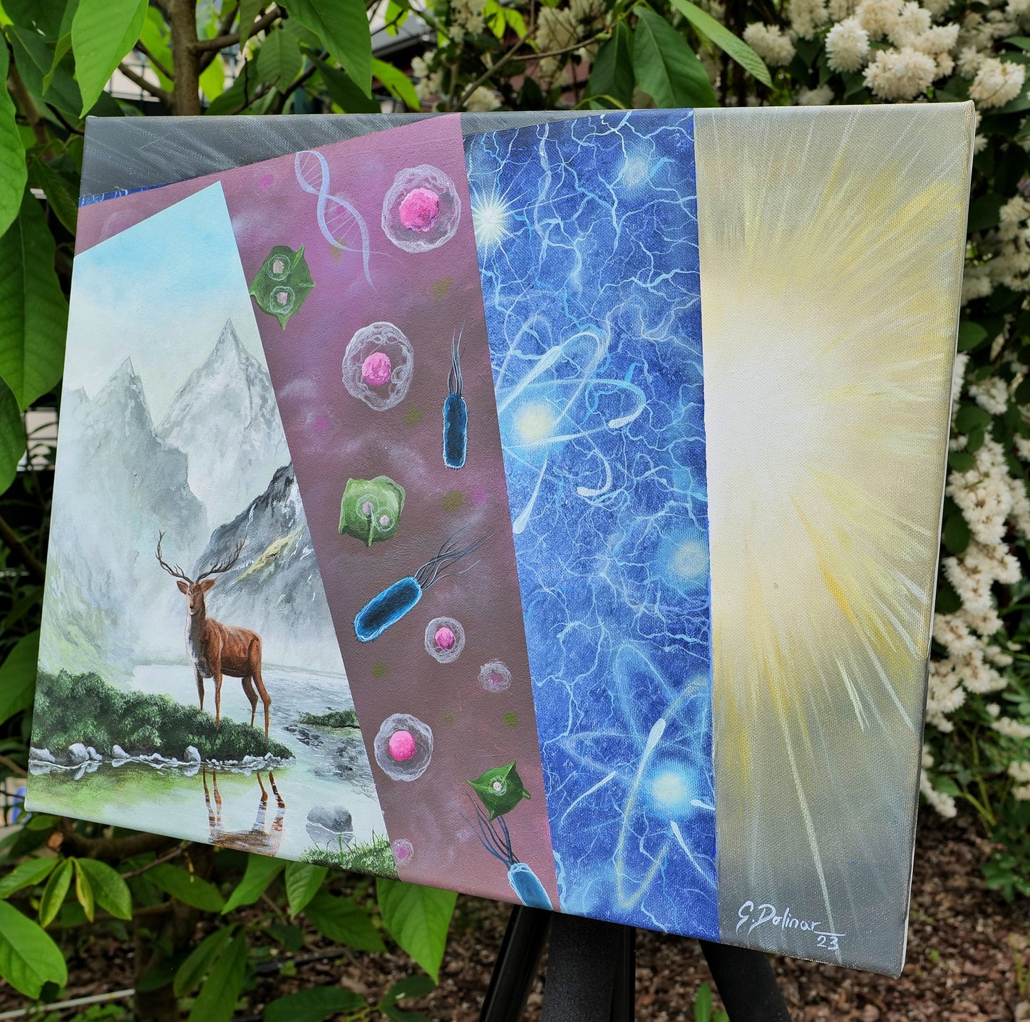 Layers of Life | Manifestation | Stretched Canvas Print