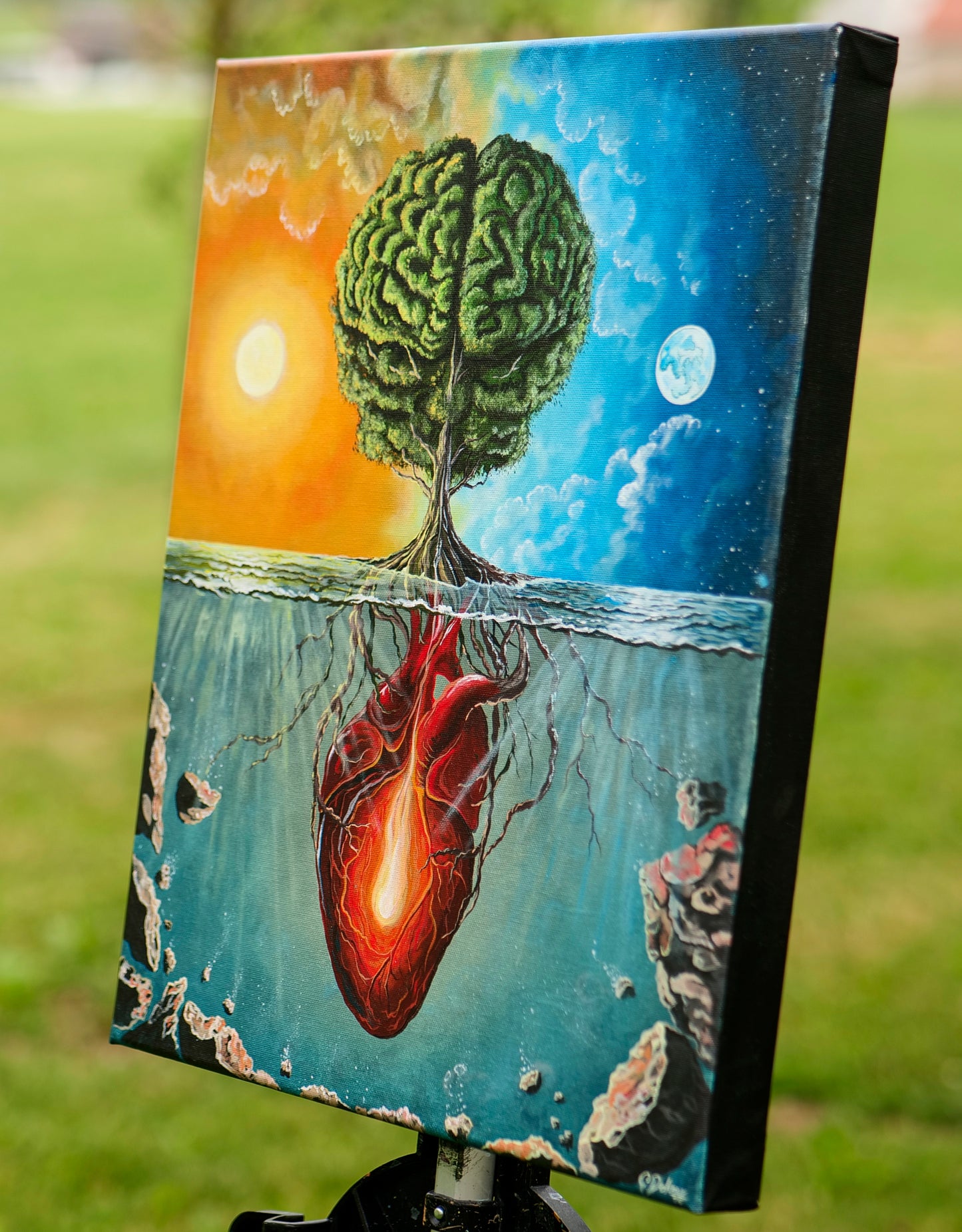 Grounded in Wisdom | Heart Brain Coherence Vol.2 | Stretched Canvas Print