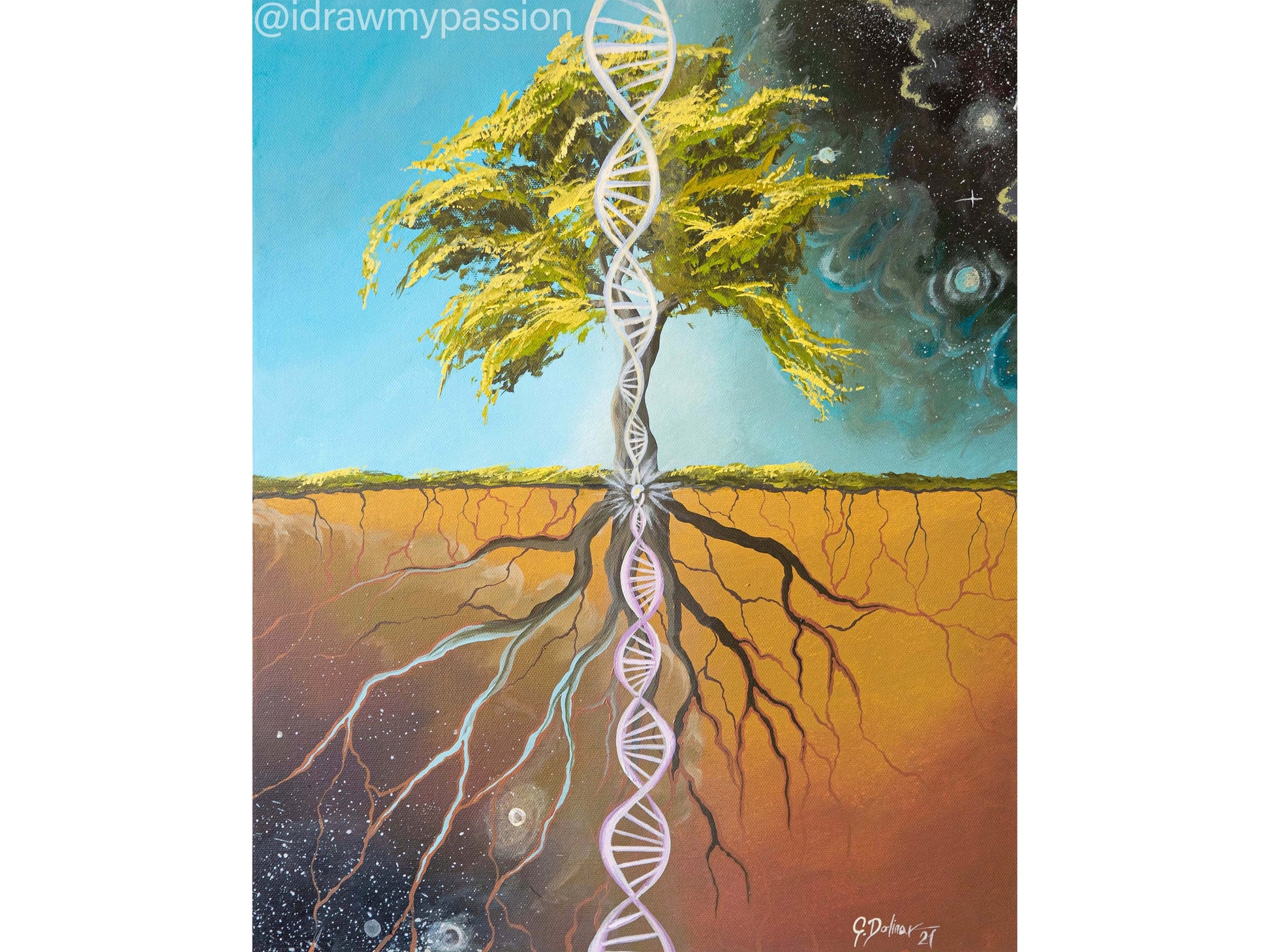 seed of life plant The Seed of Life