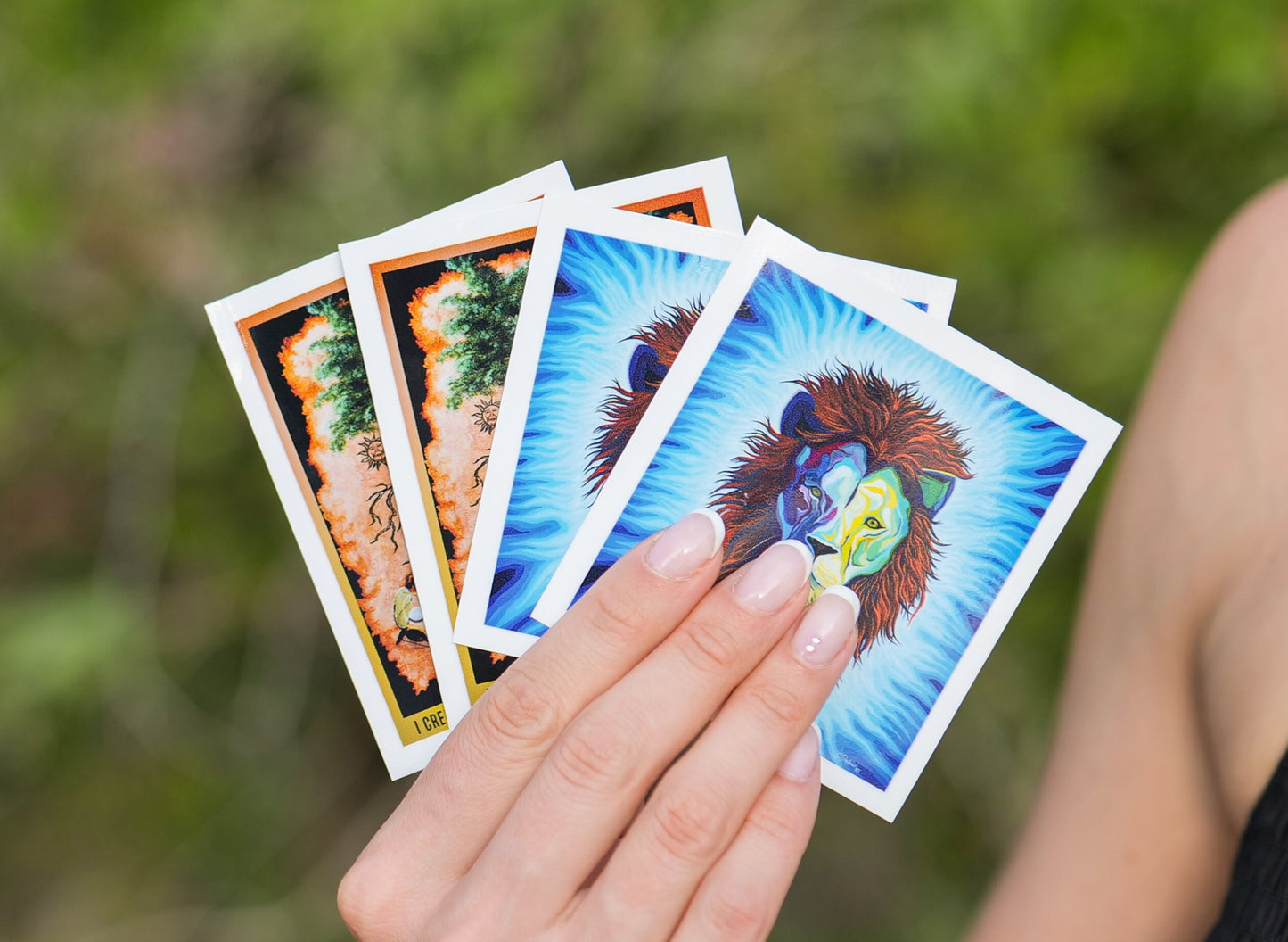 Transformation - Abundance, Law of Attracttion | Vinyl Quote Sticker